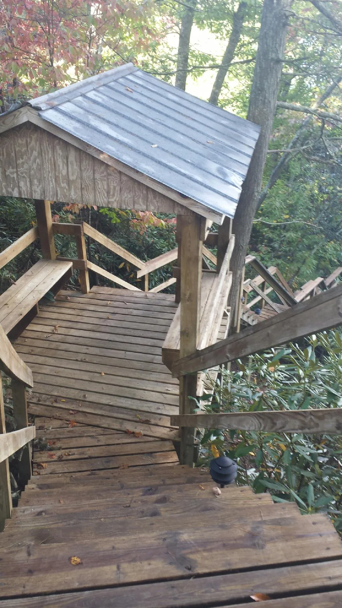 Metal roofed shelter over wooden steps on a wooded walkway — Skylight Repair & Installation work by our crew in Kalama