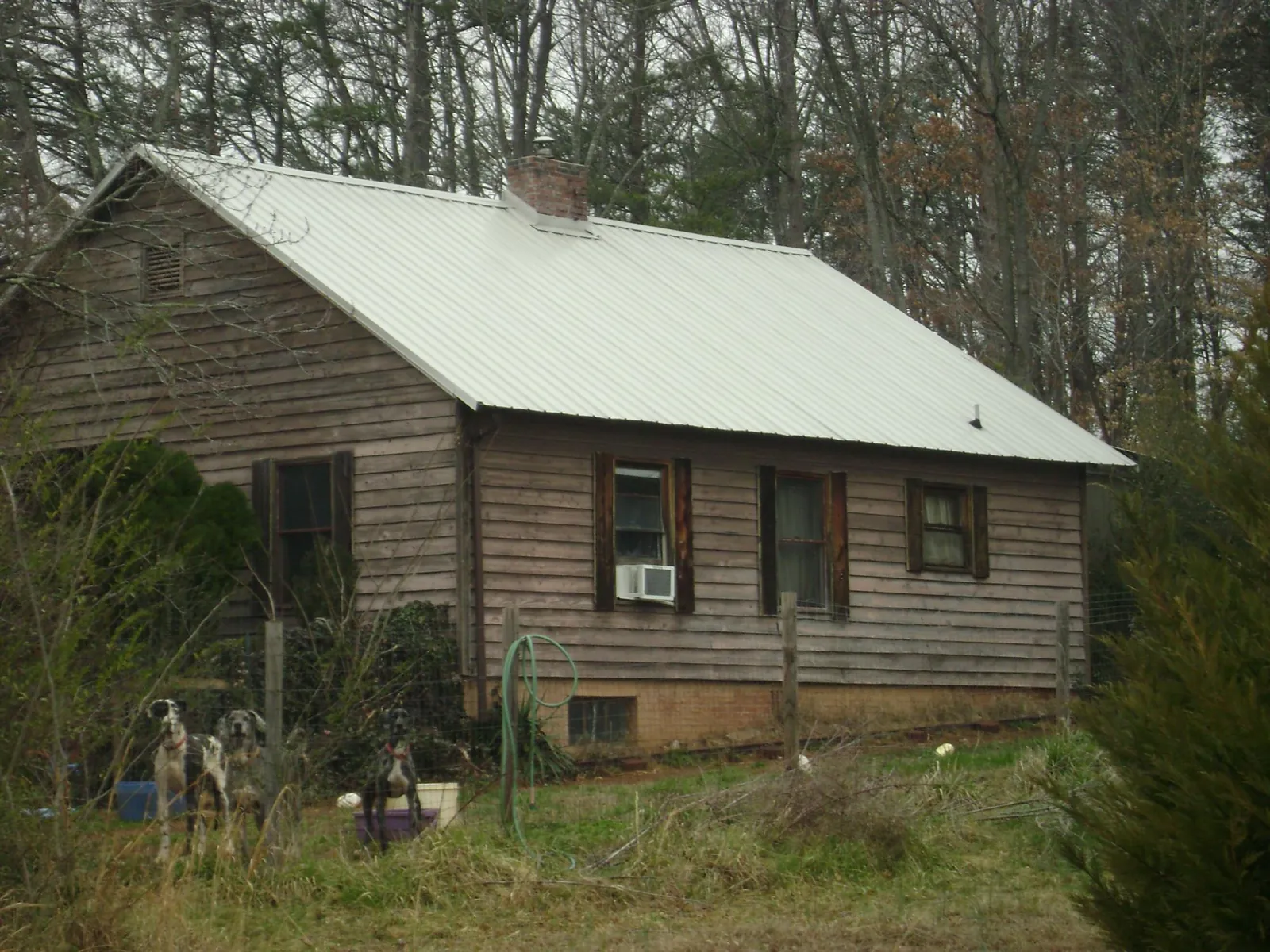 White metal roof on an old wood sided farmhouse, from a Asphalt Shingle Roof Repair job in Kalama